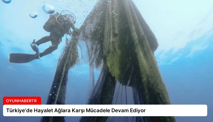 Türkiye’de Hayalet Ağlara Karşı Mücadele Devam Ediyor