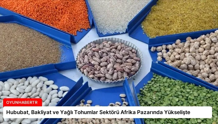 Hububat, Bakliyat ve Yağlı Tohumlar Sektörü Afrika Pazarında Yükselişte