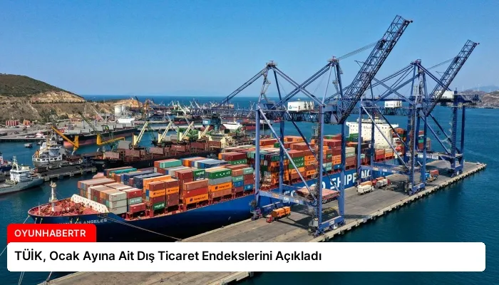 TÜİK, Ocak Ayına Ait Dış Ticaret Endekslerini Açıkladı