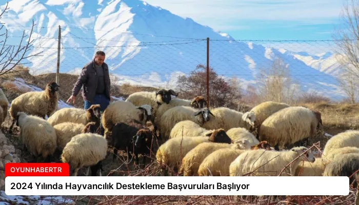2024 Yılında Hayvancılık Destekleme Başvuruları Başlıyor