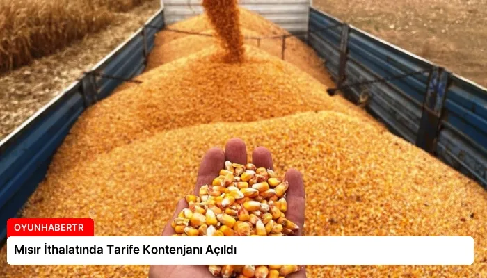 Mısır İthalatında Tarife Kontenjanı Açıldı