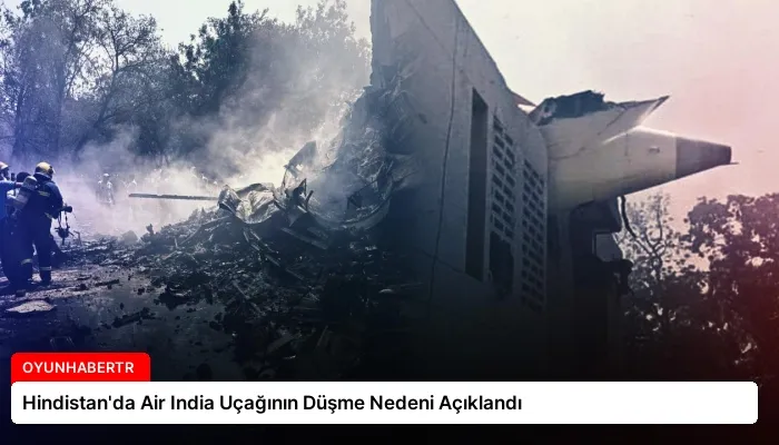 Hindistan’da Air India Uçağının Düşme Nedeni Açıklandı
