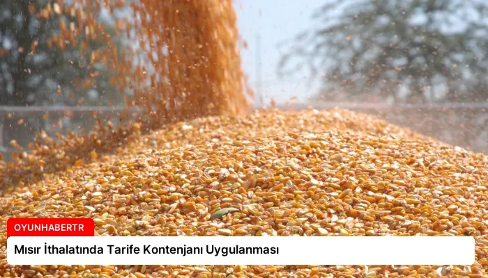 Mısır İthalatında Tarife Kontenjanı Uygulanması