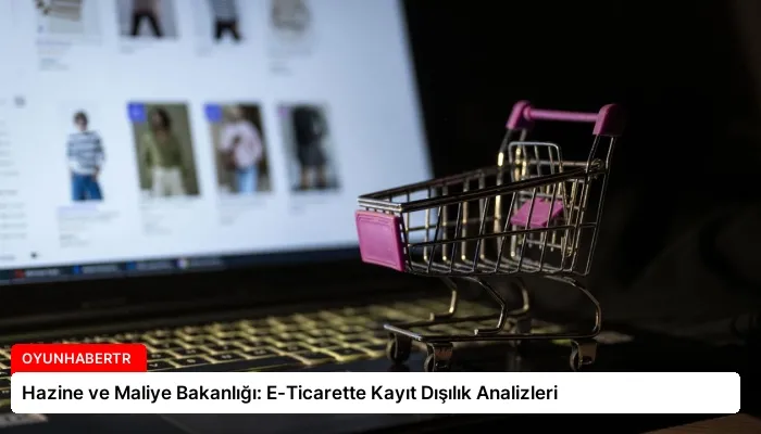Hazine ve Maliye Bakanlığı: E-Ticarette Kayıt Dışılık Analizleri