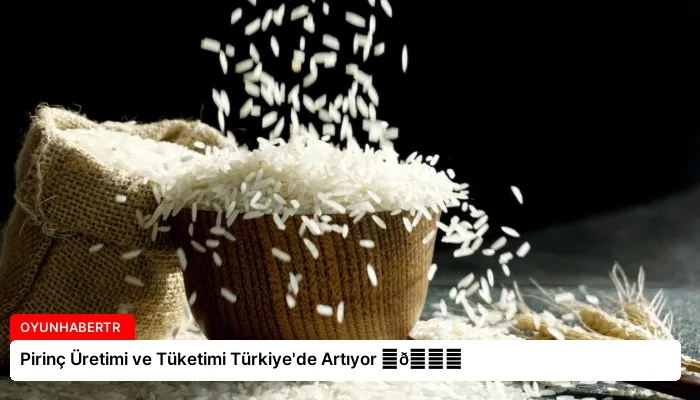 Pirinç Üretimi ve Tüketimi Türkiye’de Artıyor ⏬👇