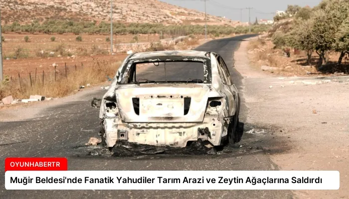 Muğir Beldesi’nde Fanatik Yahudiler Tarım Arazi ve Zeytin Ağaçlarına Saldırdı