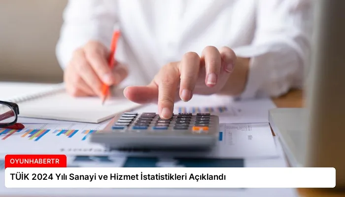 TÜİK 2024 Yılı Sanayi ve Hizmet İstatistikleri Açıklandı