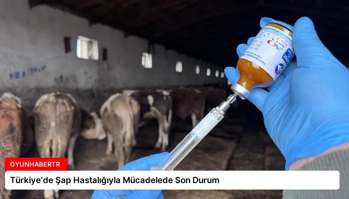 Türkiye’de Şap Hastalığıyla Mücadelede Son Durum