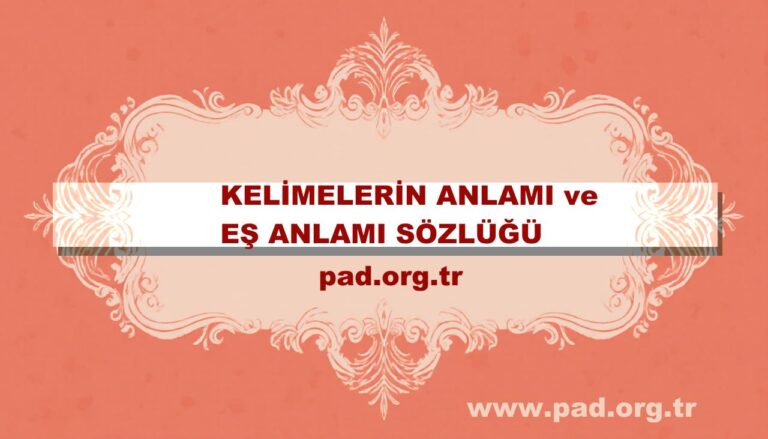 Yüzyıl Nedir