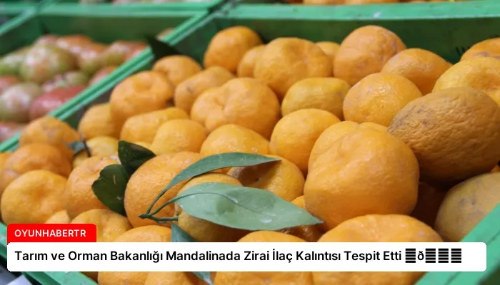 Tarım ve Orman Bakanlığı Mandalinada Zirai İlaç Kalıntısı Tespit Etti ⏬👇
