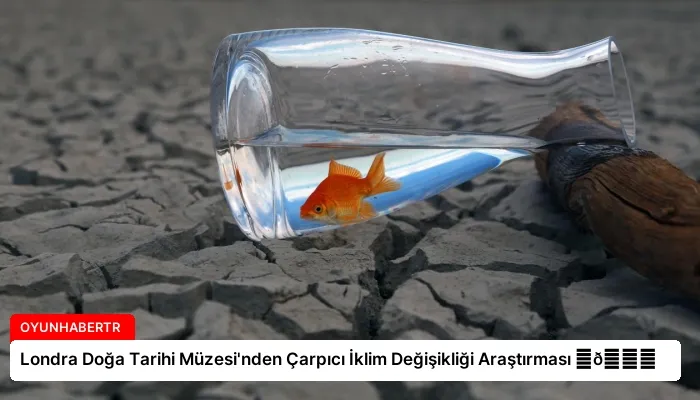 Londra Doğa Tarihi Müzesi’nden Çarpıcı İklim Değişikliği Araştırması ⏬👇