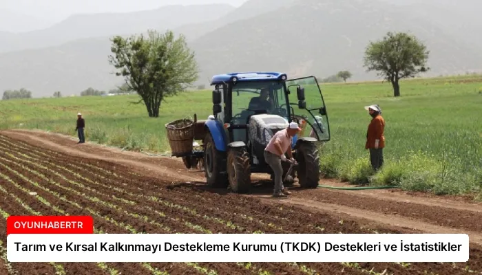 Tarım ve Kırsal Kalkınmayı Destekleme Kurumu (TKDK) Destekleri ve İstatistikler