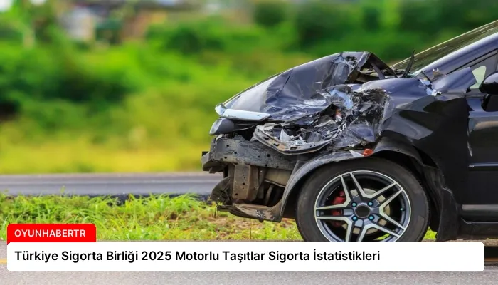Türkiye Sigorta Birliği 2025 Motorlu Taşıtlar Sigorta İstatistikleri
