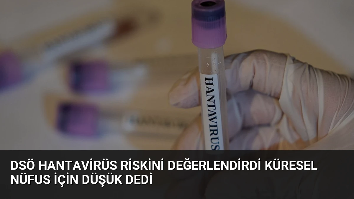 DSÖ Hantavirüs Riskini Değerlendirdi Küresel Nüfus İçin Düşük Dedi