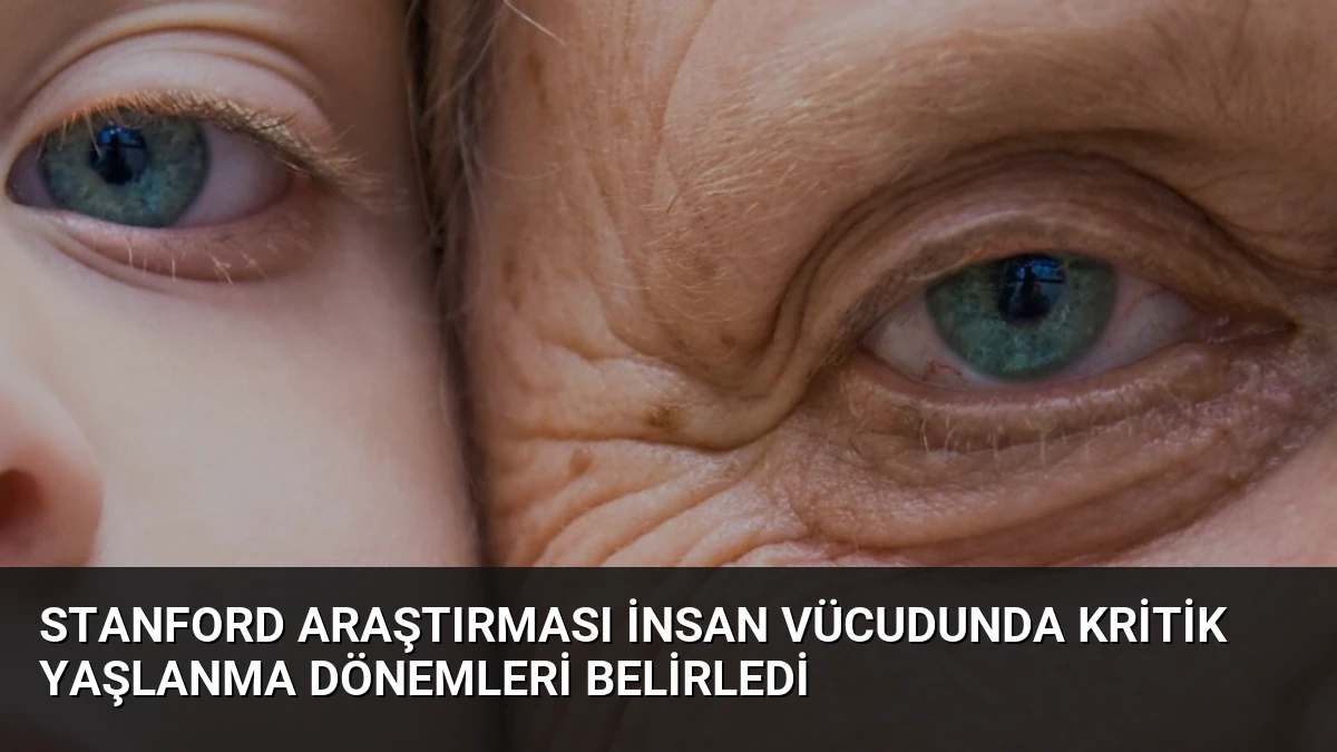 Stanford Araştırması İnsan Vücudunda Kritik Yaşlanma Dönemleri Belirledi