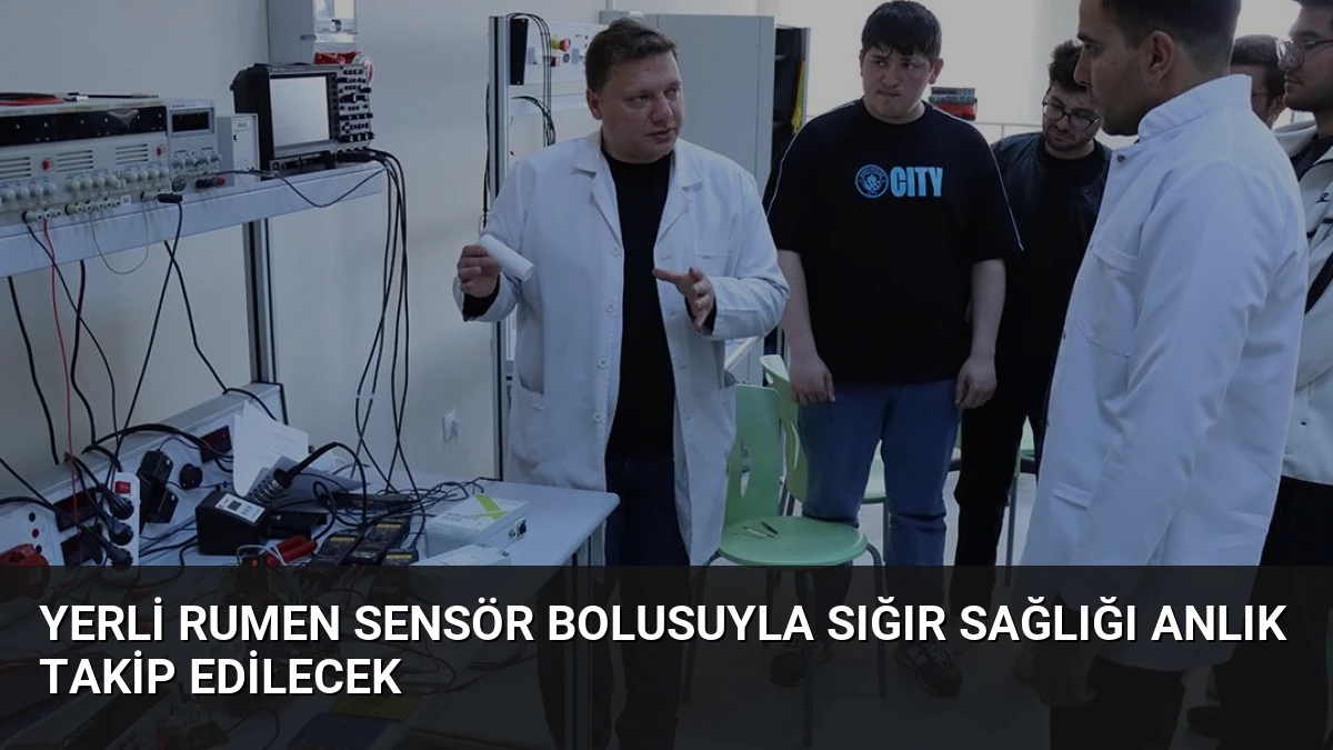 Yerli Rumen Sensör Bolusuyla Sığır Sağlığı Anlık Takip Edilecek