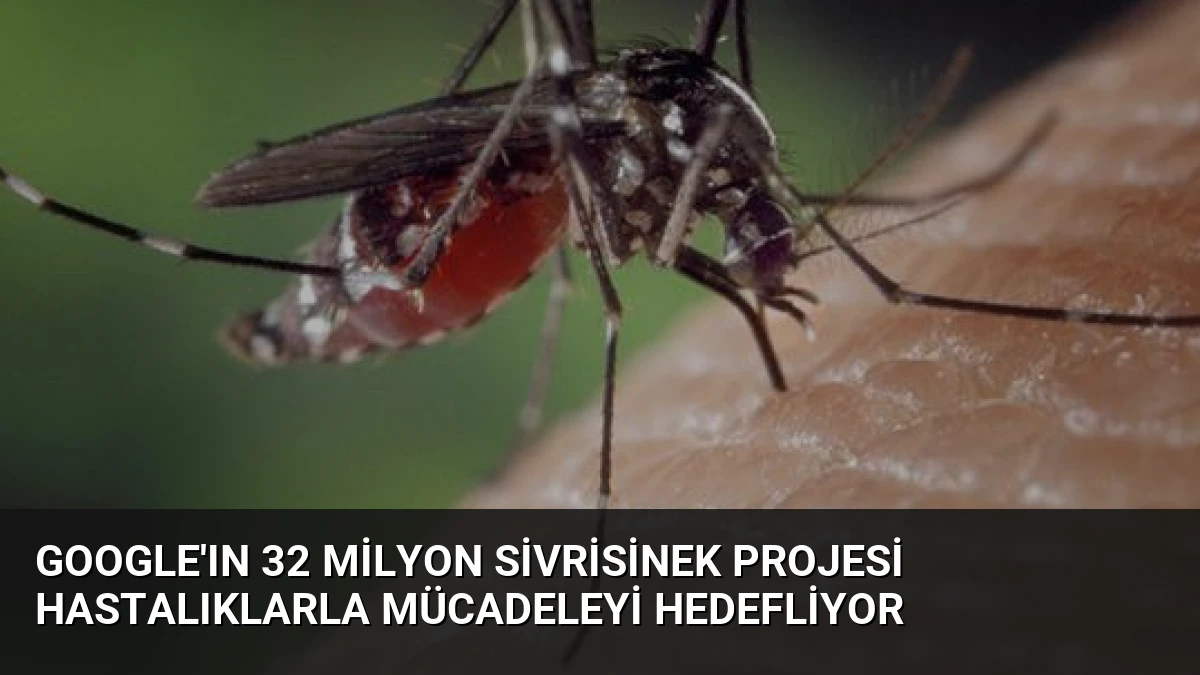 Google’ın 32 Milyon Sivrisinek Projesi Hastalıklarla Mücadeleyi Hedefliyor
