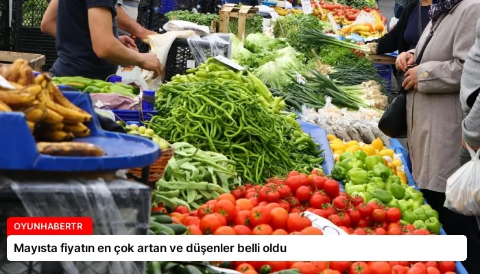 Mayısta fiyatın en çok artan ve düşenler belli oldu