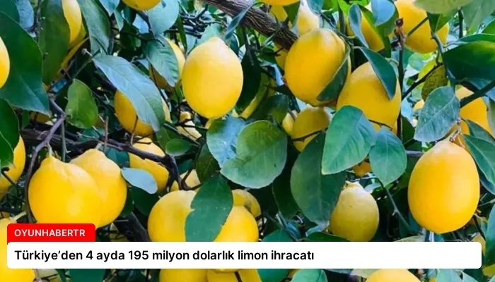 Türkiye’den 4 ayda 195 milyon dolarlık limon ihracatı